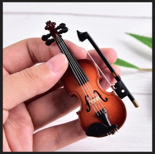 yep that tiny little violin.jpg