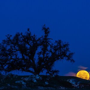 folsom_moonset.jpg