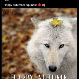Happy Autumnal Equinox.png